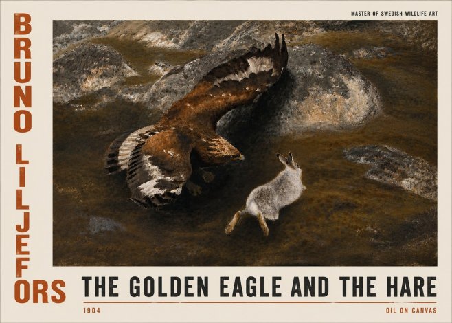 Bruno Liljefors The Golden Eagle and the Hare, 1904 No4 - Póster