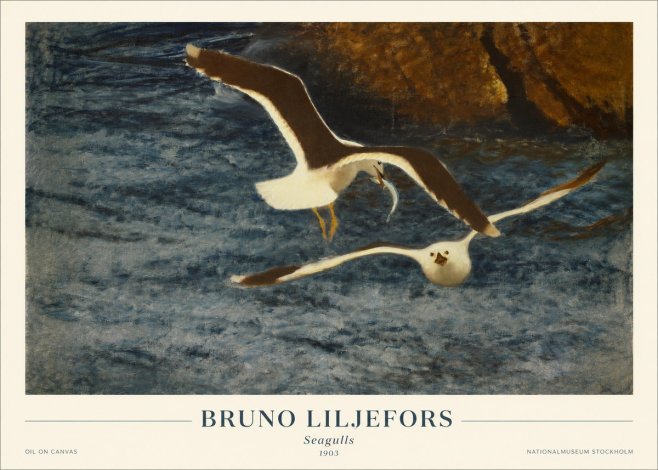 Bruno Liljefors Seagulls No1 - Póster