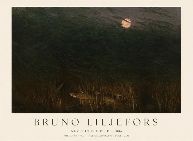 Bruno Liljefors Night in the Reeds No1 - Póster