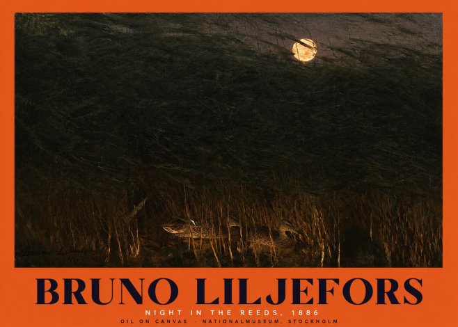 Bruno Liljefors Night in the Reeds No2 - Póster