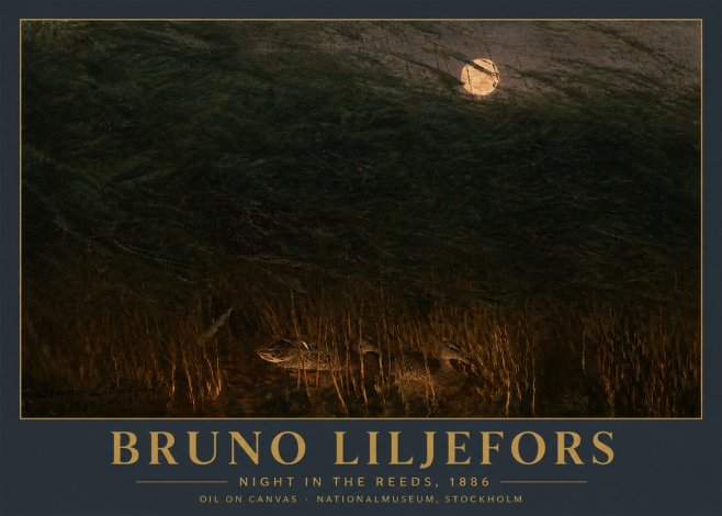 Bruno Liljefors Night in the Reeds No5 - Póster
