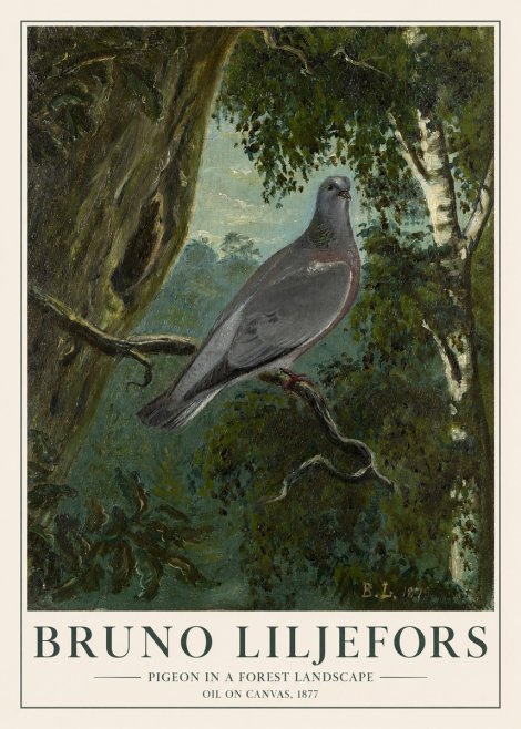 Bruno Liljefors Pigeon in a Forest Landscape No1 - Póster