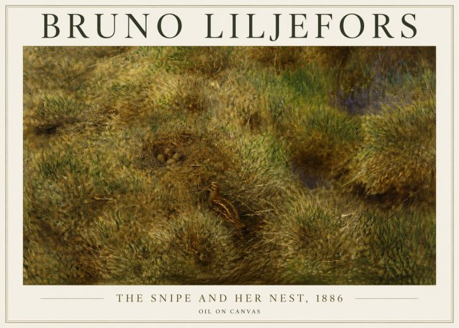 Bruno Liljefors The Snipe and Her Nest No5 - Póster