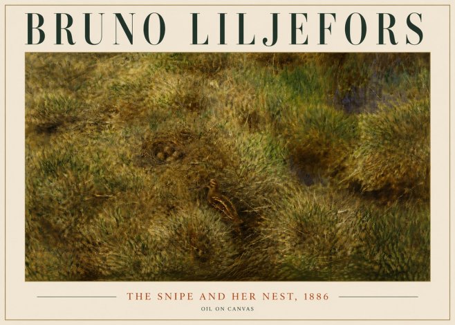 Bruno Liljefors The Snipe and Her Nest No6 - Póster