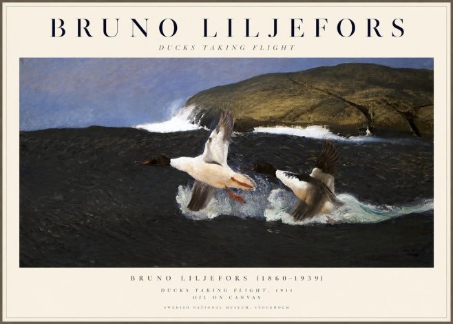 Bruno Liljefors Ducks Taking Flight No1 - Póster