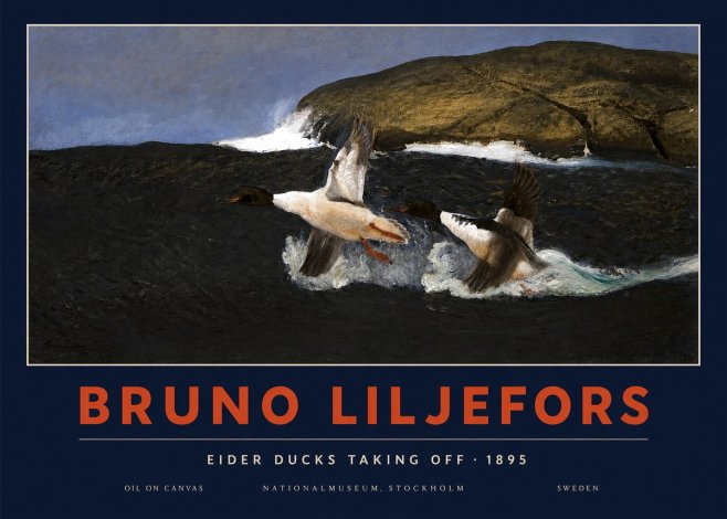 Bruno Liljefors Ducks Taking Flight No4 - Póster