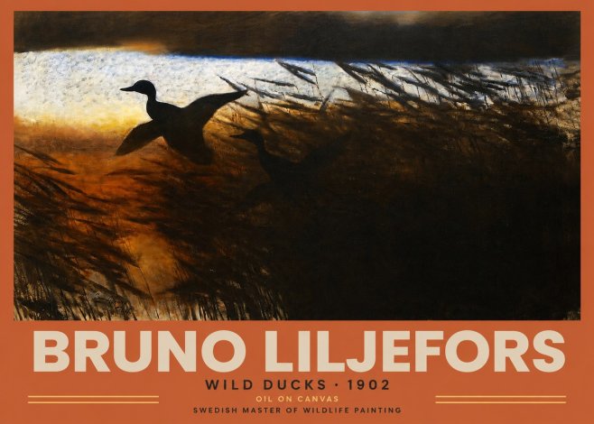 Bruno Liljefors Wild Ducks II No2 - Póster