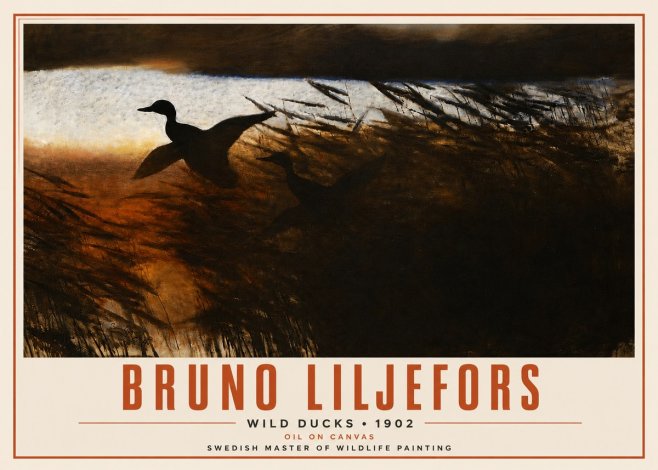 Bruno Liljefors Wild Ducks II No4 - Póster
