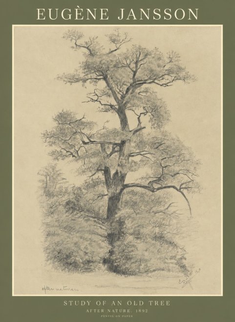 Eugène Jansson Study of an Old Tree No1 - Póster