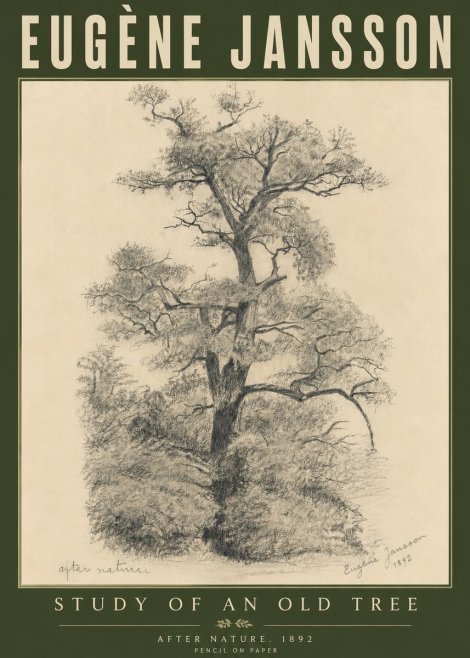 Eugène Jansson Study of an Old Tree No6 - Póster