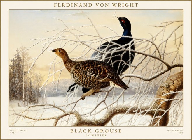 Ferdinand von Wright Black Grouse in Winter No1 - Póster