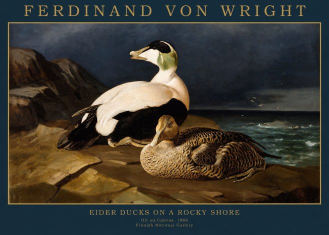 Ferdinand von Wright Eiders on a Rocky Shore No2 - Póster