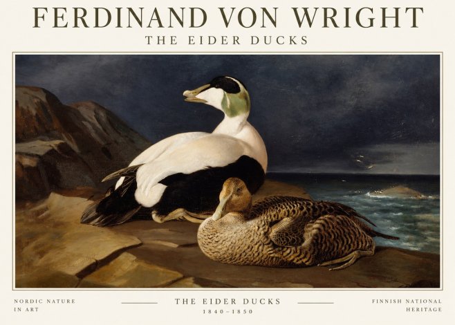 Ferdinand von Wright Eiders on a Rocky Shore No3 - Póster