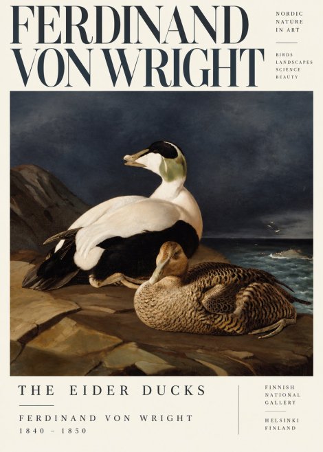 Ferdinand von Wright Eiders on a Rocky Shore No5 - Póster