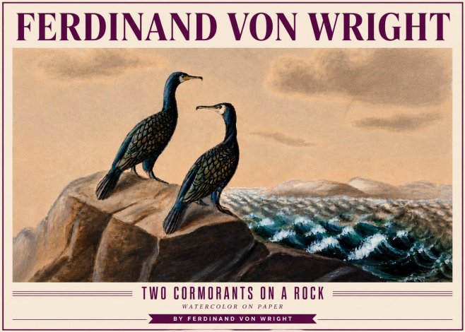 Ferdinand von Wright Two Cormorants on a Rock No4 - Póster