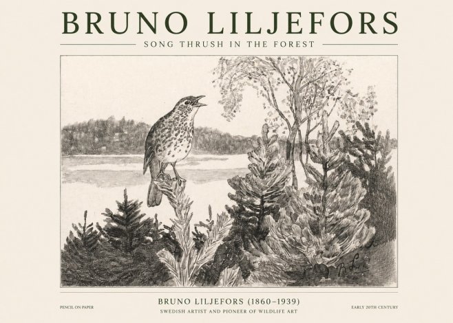 Bruno Liljefors Song Thrush in the Forest No1 - Póster