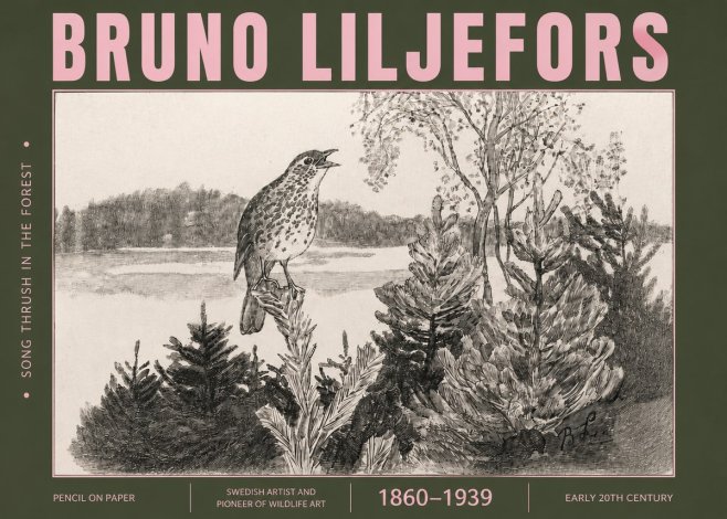 Bruno Liljefors Song Thrush in the Forest No4 - Póster