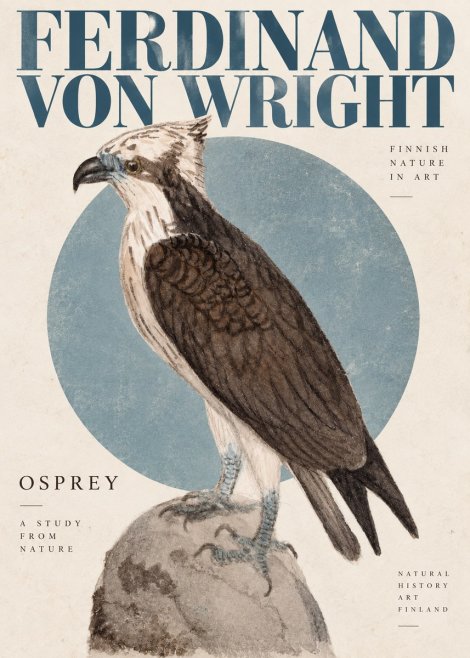 Ferdinand von Wright Osprey No4 - Póster