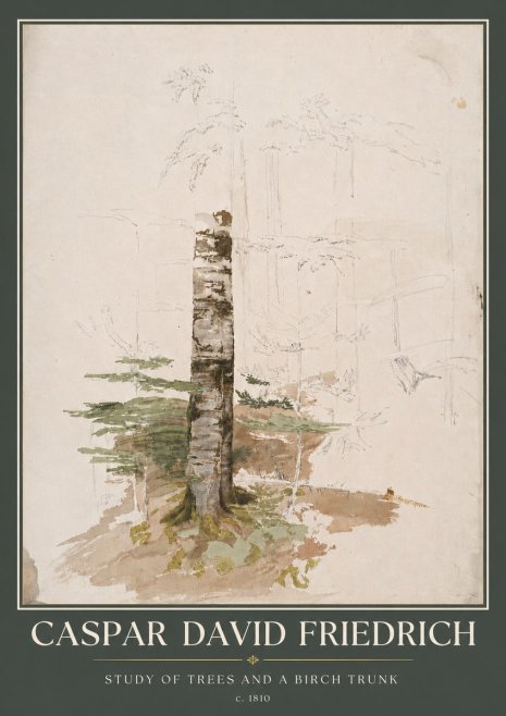 Caspar David Friedrich Study of Trees and a Birch Trunk No5 - Póster