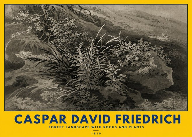 Caspar David Friedrich Forest Landscape with Rocks and Plants No5 - Póster