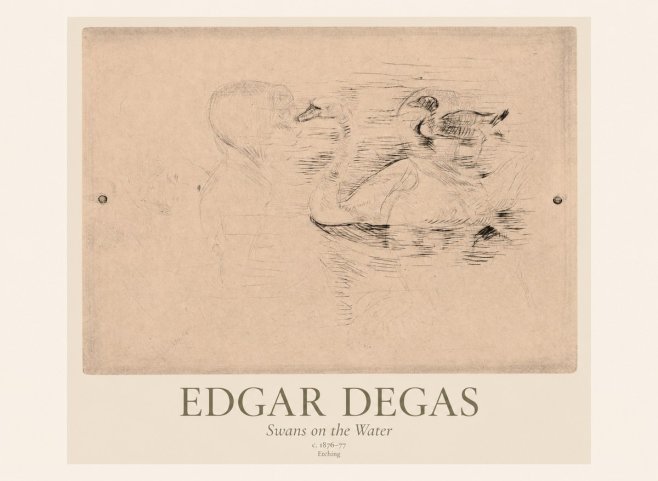 Edgar Degas Swans on the Water No1 - Póster