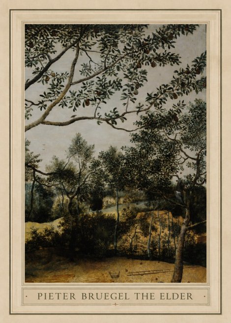 Pieter Bruegel Branch of a Pear Tree No1 - Póster