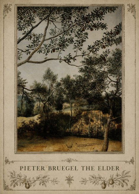 Pieter Bruegel Branch of a Pear Tree No3 - Póster