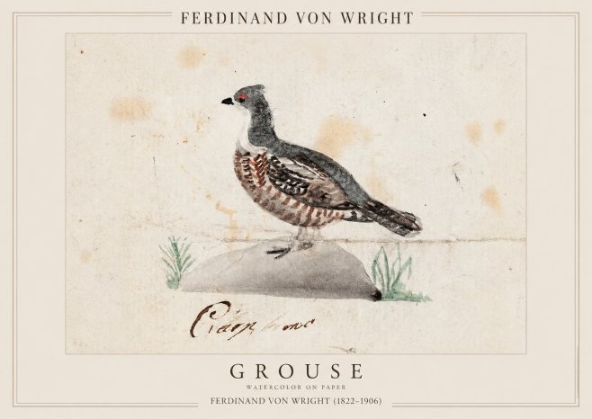 Ferdinand von Wright Grouse No1 - Póster