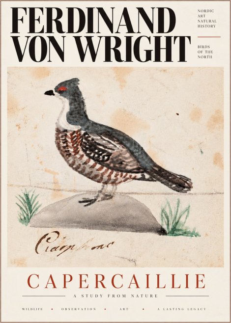 Ferdinand von Wright Grouse No6 - Póster