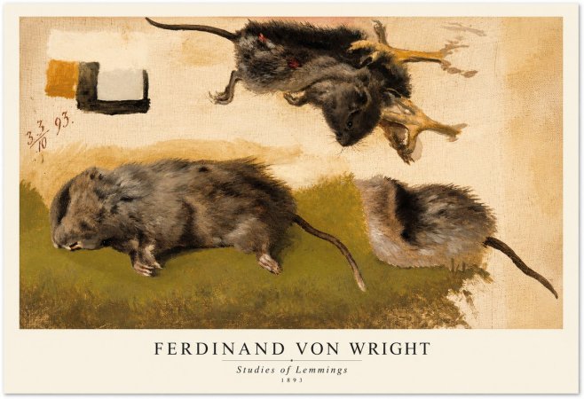 Ferdinand von Wright Studies of Lemmings No1 - Póster