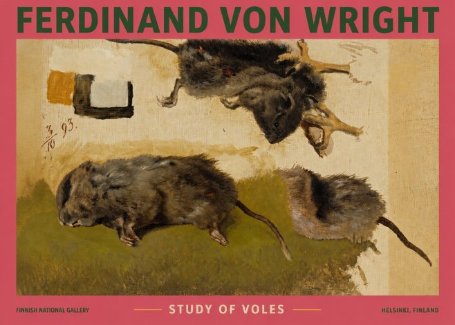 Ferdinand von Wright Studies of Lemmings No4 - Póster