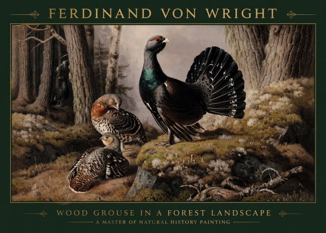 Ferdinand von Wright Wood Grouse in a Forest Landscape No3 - Póster
