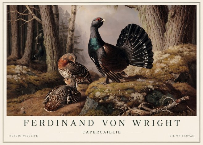 Ferdinand von Wright Wood Grouse in a Forest Landscape No5 - Póster
