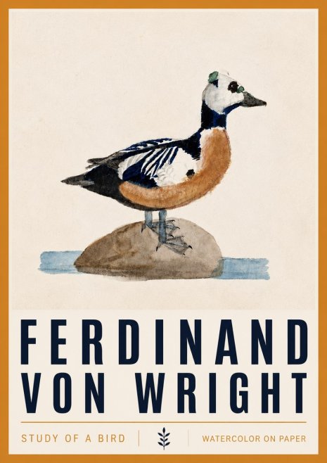 Ferdinand von Wright Study of a Bird No4 - Póster