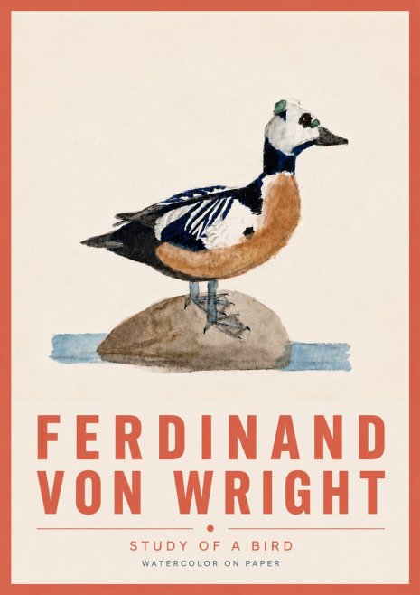 Ferdinand von Wright Study of a Bird No6 - Póster