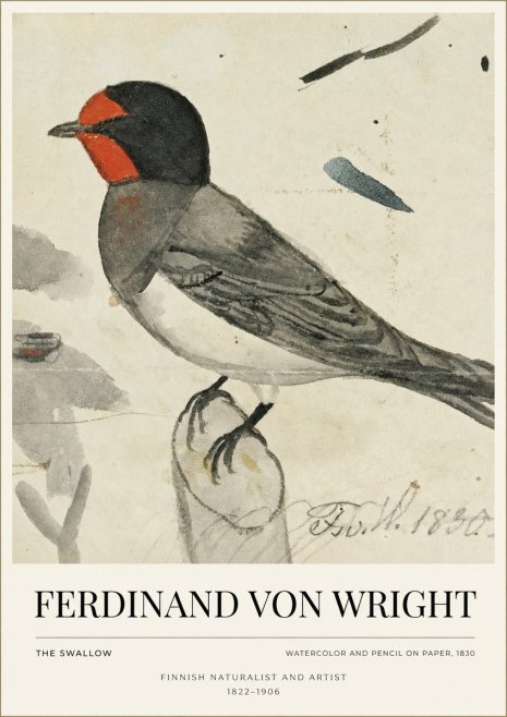 Ferdinand von Wright The Swallow No1 - Póster