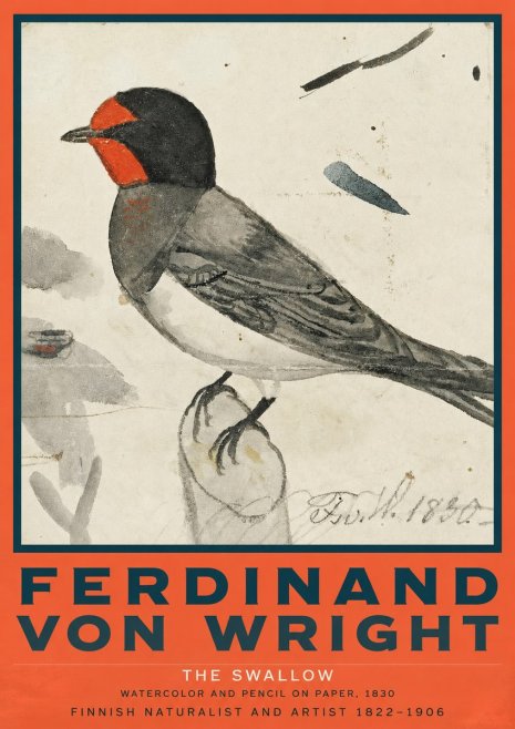 Ferdinand von Wright The Swallow No2 - Póster