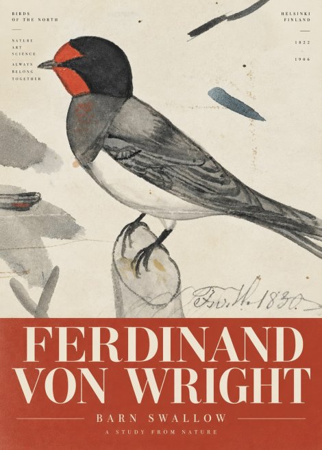 Ferdinand von Wright The Swallow No6 - Póster