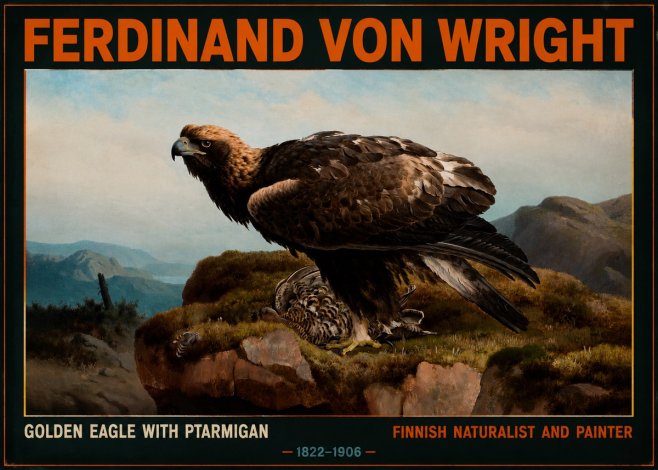 Ferdinand von Wright Golden Eagle with Ptarmigan No2 - Póster