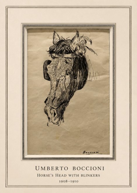 Umberto Boccioni Horse's Head with Blinkers No5 - Póster