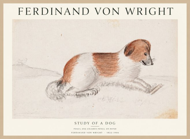 Ferdinand von Wright Study of a Dog No1 - Póster