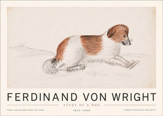 Ferdinand von Wright Study of a Dog No6 - Póster