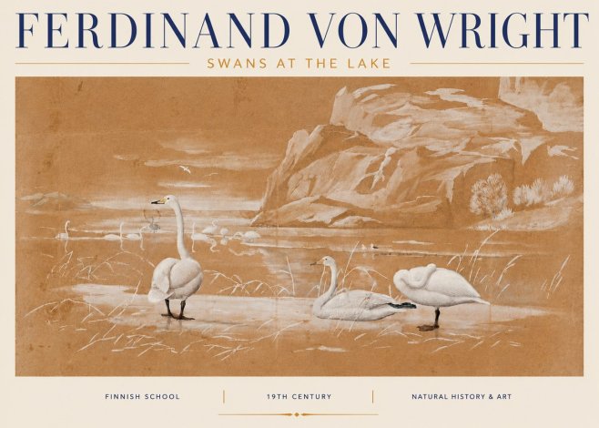 Ferdinand von Wright Swans at the Lake No4 - Póster