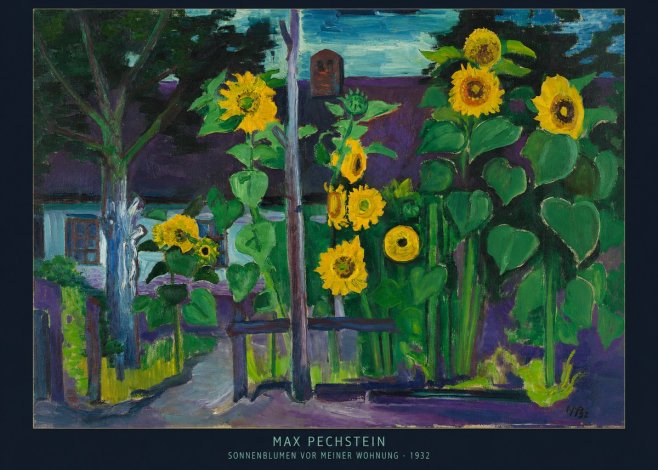 Max Pechstein Sonnenblumen Vor Meiner Wohnung No6 - Póster