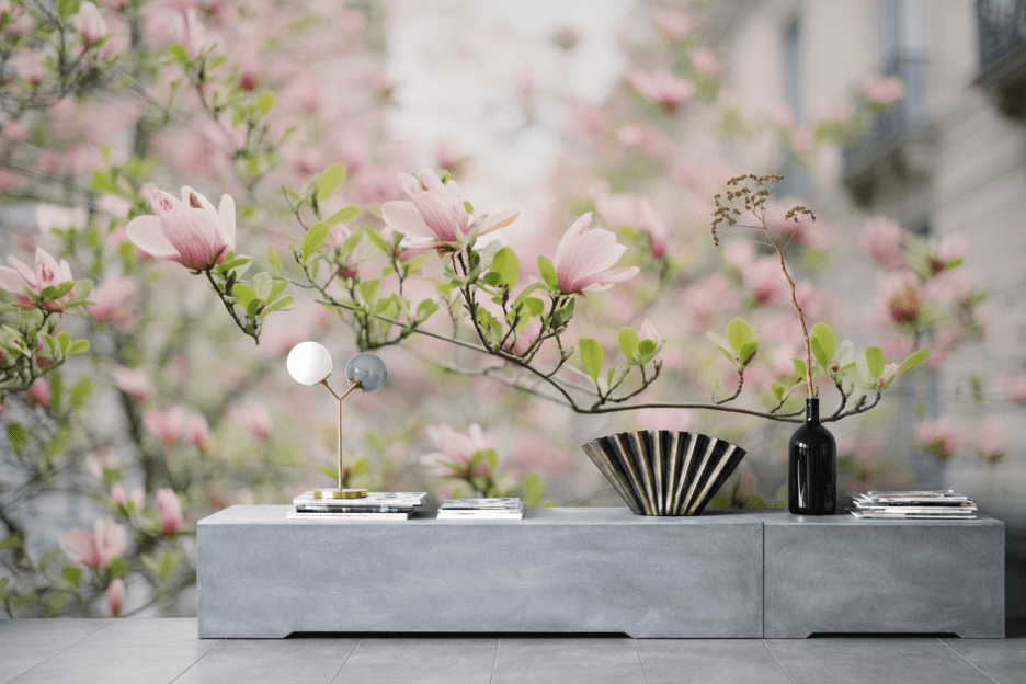 Magnolia Bloom