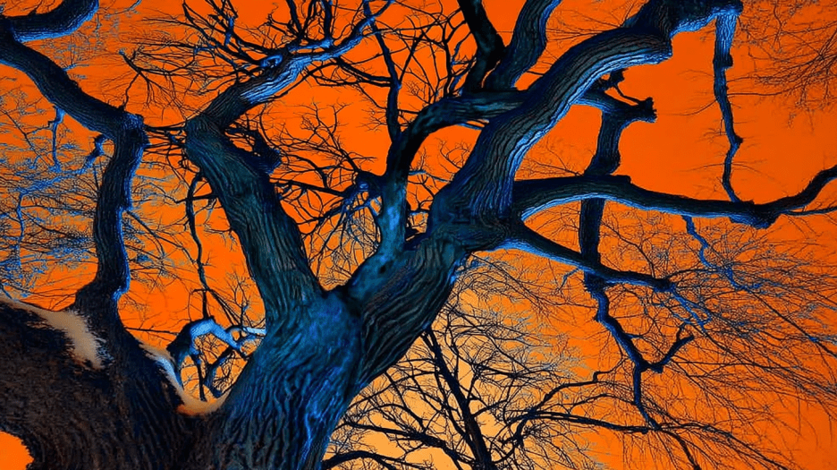 Ebon Branches Against Ember