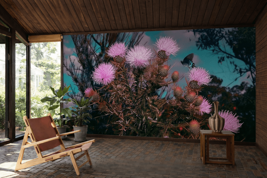 Thistle Reverie