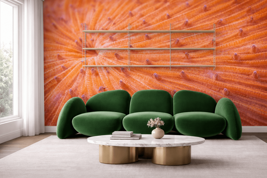 Oceanic Sunrise Burst