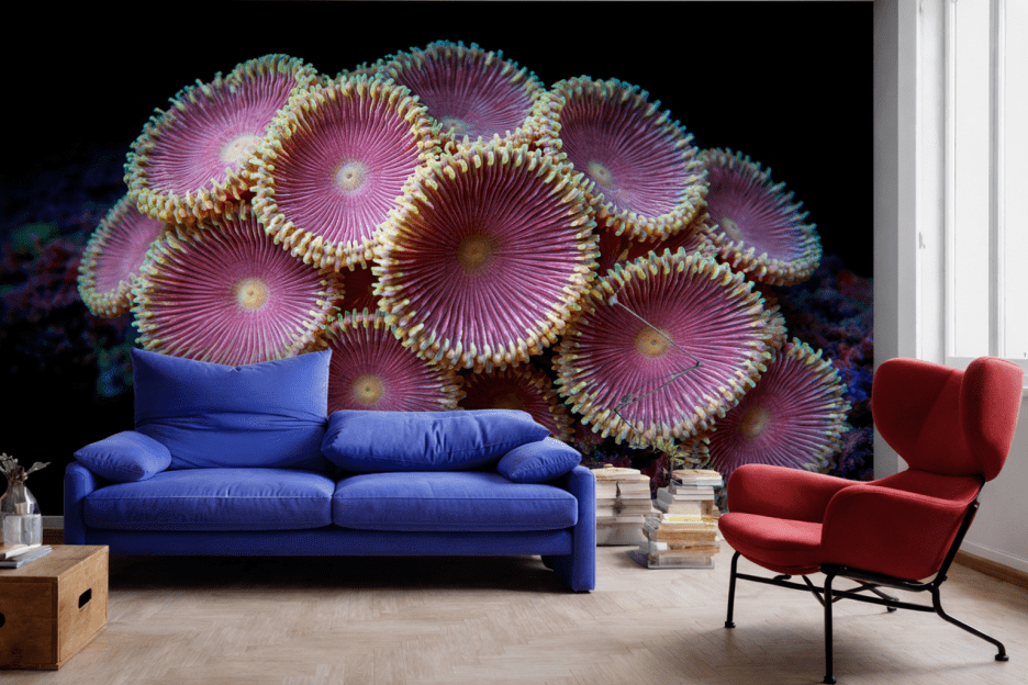 Blossom Array