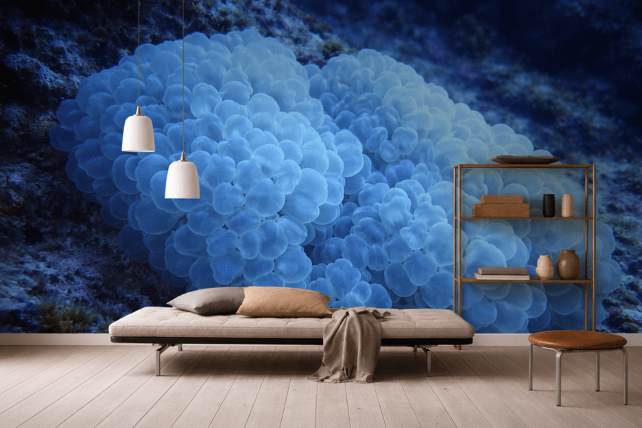 Glacial Bloom